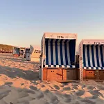 Kuestenmuschel