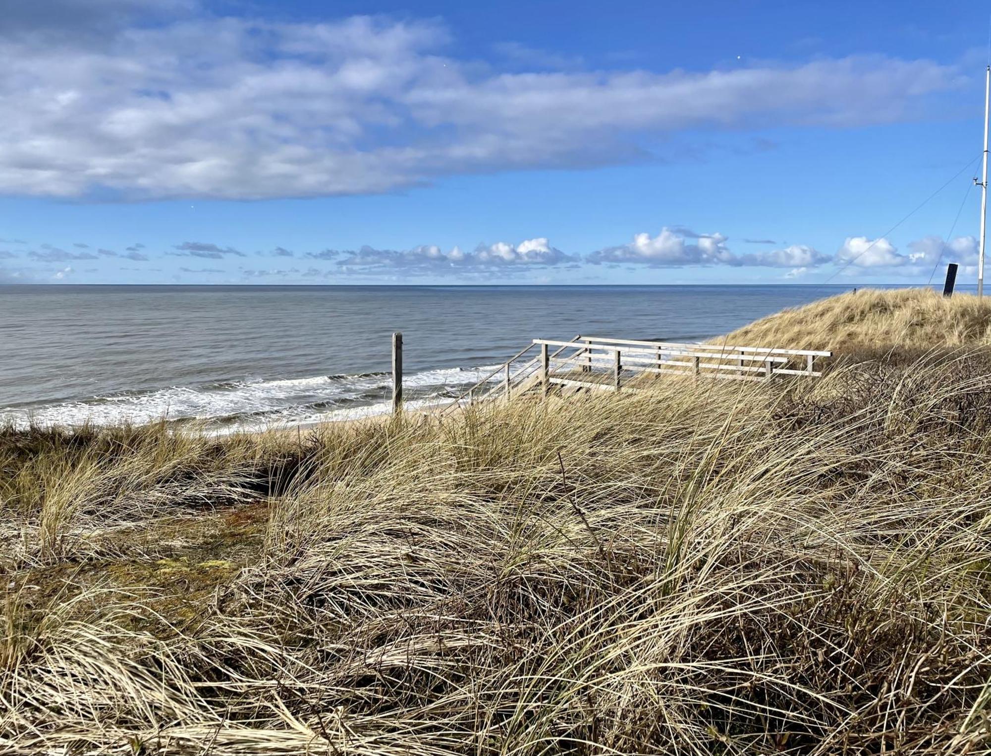 Kuestenmuschel Westerland